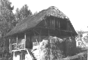 eika image